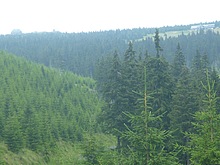 V levo Szrenica, v pravo  Voseck� bouda