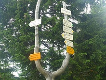 Rozcestn�k pod Voseckou boudou