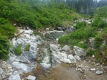 Cestu lemuje krasn� p��roda