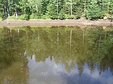 Rybn�k, toho �asu nap�l vypu�t�n�