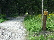 Docela drsn� sjezd z Dvora�ek