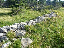 R��en�ina zahr�dka