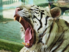 Liberec - ZOO Liberec