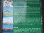 Informa�n� tabule na Dvora�k�ch - Horsk� bouda Dvora�ky (foto 3)